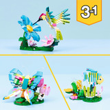 LEGO LEGO CREATOR Wild Animals: Colorful Humm Constructiespeelgoed 