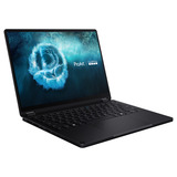 ASUS ProArt GoPro Edition PX13 HN7306EAC-LX089X 13.3"  Copilot+ 2-in-1 laptop Zwart | Ryzen Al Max+ 395 | Radeon 8060S | 128 GB | 2 TB SSD | Touch