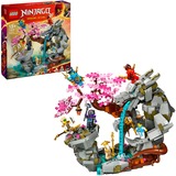 Ninjago - Altaar van de Stenen Draak Constructiespeelgoed