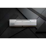 KLEVV 32 GB DDR5-6000 (2x 16 GB) Kit werkgeheugen Wit, KD5AGU880-60A300I, BOLT V, XMP 3.0, EXPO