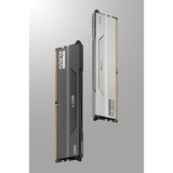 KLEVV 32 GB DDR5-6000 (2x 16 GB) Kit werkgeheugen Wit, KD5AGU880-60A300I, BOLT V, XMP 3.0, EXPO