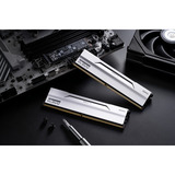 KLEVV 32 GB DDR5-6000 (2x 16 GB) Kit werkgeheugen Wit, KD5AGU880-60A300I, BOLT V, XMP 3.0, EXPO