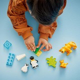 LEGO DUPLO - Families van wilde dieren: pinguïns en leeuwen Constructiespeelgoed 10442