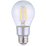 Vintage A60 ledlamp