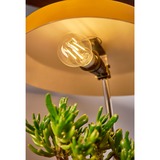 Shelly Vintage A60 ledlamp Gloeidraad