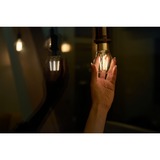 Shelly Vintage A60 ledlamp Gloeidraad