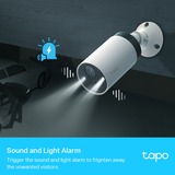 TP-Link Tapo C420S2 beveiligingscamera Wit