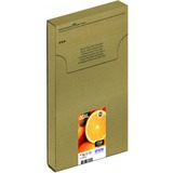 Epson Multipack 5-colours 33XL Claria Premium ink Easymail inkt C13T33574510