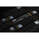 KLEVV CRAS C910G 1 TB SSD Zwart, K01TBM2SP0-10G, PCIe Gen 4.0 x4, NVMe 2.0