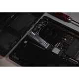 KLEVV CRAS C910G 1 TB SSD Zwart, K01TBM2SP0-10G, PCIe Gen 4.0 x4, NVMe 2.0