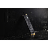 KLEVV CRAS C910G 1 TB SSD Zwart, K01TBM2SP0-10G, PCIe Gen 4.0 x4, NVMe 2.0