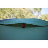 Coleman Darwin 2+ tent Groen/grijs