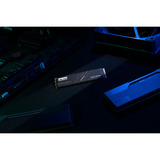 KLEVV CRAS C925G 1 TB SSD Zwart, K01TBM2SP0-25G, PCIe Gen 4.0 x4, NVMe 2.0