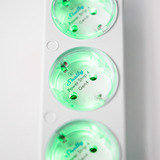 Shelly Power Strip Gen4 stekkerdoos Wit, WiFi, Bluetooth, Zigbee