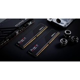 G.Skill Flare X5 32 GB DDR5-6000 (2x 16 GB) werkgeheugen Zwart, F5-6000J3038F16GX2-FX5, EXPO