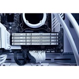 Kingston FURY Beast 32 GB DDR5-5600 (2x 16 GB) werkgeheugen Wit, KF556C36BWEK2-32, XMP 3.0, EXPO