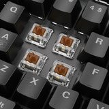 Sharkoon SKILLER SGK20 RGB mechanisch gaming toetsenbord Zwart, US lay-out (QWERTY), Huano Brown, 100%, RGB