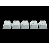 Keychron Q16 HE 8K Magnetic Switch Keyboard Lichtgroen, US lay-out (QWERTY), Keychron Ultra-Fast Lime, 65%, RGB, Hot swap, 8K