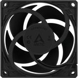 ARCTIC P8 PWM PST case fan Zwart, 80 x 80 x 25 mm