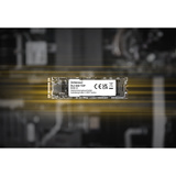 Intenso Top Performance, 256 GB SSD 3832440, M.2 2280
