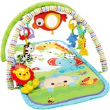 Fisher-Price 3-in-1 Muzikaal Regenwoud Activiteitenspeelmat Speelbogen/ dekens