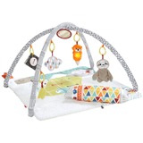 Fisher-Price Perfect Sense Deluxe Gym Speelbogen/ dekens