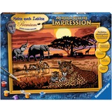 Ravensburger MnZ Afrikanische Impression Tekenen