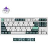 Keychron Q3 HE QMK-P1 RGB mechanisch toetsenbord Wit, US lay-out (QWERTY), Gateron Double-Rail Magnetic Nebula, 80% (TKL)	, RGB leds, OSA double-shot PBT, hot swap, Knob, 2.4GHz | Bluetooth 5.1 | USB-C