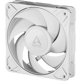 ARCTIC P12 Pro PST case fan Wit