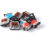 Keychron Gateron Low Profile MX Switch Set - Brown keyboard switches Bruin/transparant, 110 stuks