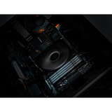 KLEVV 32 GB DDR5-6000 (2x 16 GB) Kit werkgeheugen Zwart, KD5AGU880-60A300H, BOLT V, XMP 3.0, EXPO