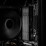 KLEVV 32 GB DDR5-6000 (2x 16 GB) Kit werkgeheugen Zwart, KD5AGU880-60A300H, BOLT V, XMP 3.0, EXPO