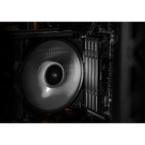 KLEVV 32 GB DDR5-6000 (2x 16 GB) Kit werkgeheugen Zwart, KD5AGU880-60A300H, BOLT V, XMP 3.0, EXPO