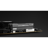 KLEVV 32 GB DDR5-6000 (2x 16 GB) Kit werkgeheugen Zwart, KD5AGU880-60A300H, BOLT V, XMP 3.0, EXPO