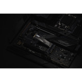 KLEVV CRAS C910G 2 TB SSD Zwart, K02TBM2SP0-10G, PCIe Gen 4.0 x4, NVMe 2.0