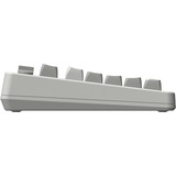 8BitDo IBM Bundel mechanisch gaming toetsenbord Grijs, US lay-out (QWERTY), Kailh Box White, 80% (TKL)	, Bluetooth Low Energy, Wireless 2.4G, USB