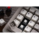 8BitDo IBM Bundel mechanisch gaming toetsenbord Grijs, US lay-out (QWERTY), Kailh Box White, 80% (TKL)	, Bluetooth Low Energy, Wireless 2.4G, USB