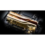 G.Skill 48 GB DDR5-6000 Kit werkgeheugen Goud, F5-6000J2636H24GX2-TR5NG, Trident Z5 Royal Neo, EXPO