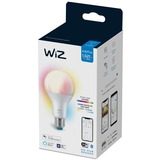 WiZ Lamp A67 E27 ledlamp Wifi + Bluetooth protocol