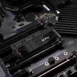 ADATA XPG GAMMIX S50 Core 500 GB SSD Zwart, PCIe 4.0 x4, NVMe 1.4, M.2 2280