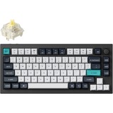 Keychron Q1 Max-M4 RGB mechanisch toetsenbord Zwart, US lay-out (QWERTY), Gateron Jupiter Banana, 75%, RGB leds, KSA double-shot PBT, hot swap, Knob, 2.4GHz | Bluetooth 5.1 | USB-C