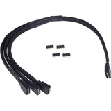 Alphacool Y-Kabel RGB 4polig > 3x 4polig splitterkabel Zwart, 30cm