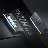 Lexar 16 GB DDR5-5600 (1x 16 GB) laptopgeheugen Zwart, LD5S16G56C46ST-BGS, SO-DIMM