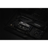 KLEVV CRAS C910G 4 TB SSD Zwart, K04TBM2SP0-10G, PCIe Gen 4.0 x4, NVMe 2.0