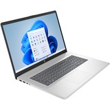 HP 17-cp2026nd (8Y7S1EA) 17.3"  laptop Zilver | Ryzen 3 7320U | Radeon Graphics | 8 GB | 256 GB SSD