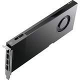 PNY NVIDIA RTX PRO 4000 SFF Blackwell 24GB SB grafische kaart GDDR7 ECC, 4x Mini-DisplayPort 2.1, Bulk