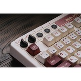8BitDo Retro Mechanical Keyboard Fami Edition Beige, US lay-out (QWERTY), Kailh Box White, 80% (TKL)	, Bluetooth Low Energy, Wireless 2.4G, USB