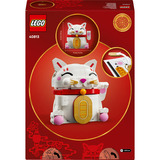 LEGO  Constructiespeelgoed 