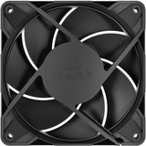 ARCTIC P12 Pro PST CO case fan Zwart