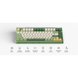 Iqunix OG80 Camping Wireless Mechanical Keyboard Groen, US lay-out (QWERTY), Cherry MX Red, 80% (TKL)	, RGB leds, Hot-swappable, PBT, 2.4GHz | Bluetooth 5.1 | USB-C
